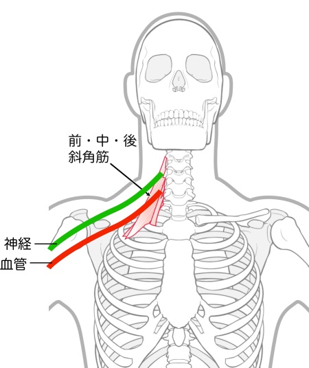 今治　斜角筋症候群　玄鍼灸院